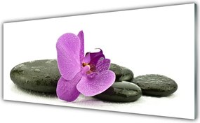 Szkło Ozdobne do Kuchni Królewska Orchidea W Detalu