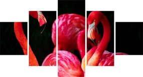 Obraz czerwonych flamingów (125x70 cm)