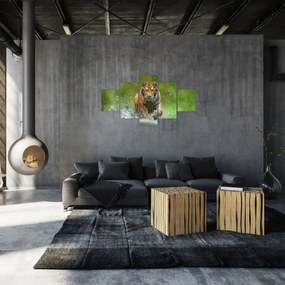 Obraz - Biegnący tygrys (125x70 cm)