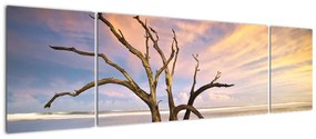 Obraz drzewa w oceanie (170x50 cm)