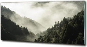 Foto obraz szkło hartowane Mgła nad lasem