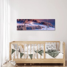 Obraz zimowego krajobrazu (170x50 cm)