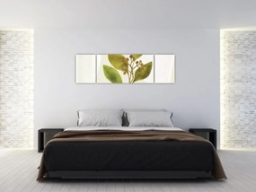 Obraz - Gałąź akwareli N⁰1 (170x50 cm)