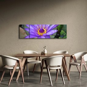 Obraz - Fioletowy kwiat (170x50 cm)