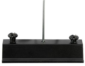 Nowoczesny wiszący system oświetlenia szynowego z 6 czarnymi reflektorami jednofazowymi GU10 50 mm - Iconic Ruby Honey Nowoczesny Oswietlenie wewnetrzne