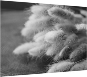 Obraz na szkle - trawa z króliczym ogonkiem na stole (70x50 cm)