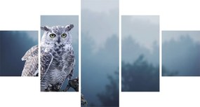 Obraz - Sowa śnieżna (125x70 cm)