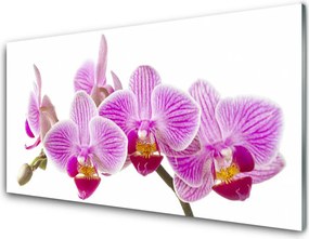 Szkło nad Blatem Wyrafinowany Bukiet Roślinny