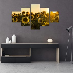 Obraz pola słoneczników (125x70 cm)