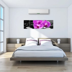 Obraz - Fioletowe orchidee (170x50 cm)