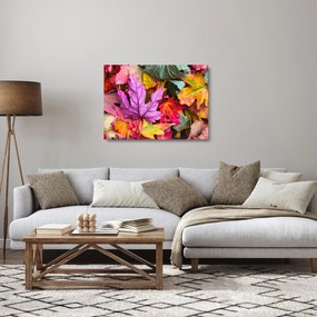 Obraz na szkle - jesienne liście (70x50 cm)