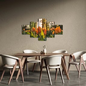 Obraz - pomarańczowe tulipany (125x70 cm)