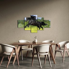 Obraz - Koń z płynącą grzywą (125x70 cm)