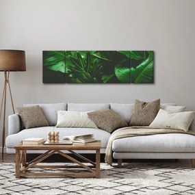 Obraz - Liście palmowe (170x50 cm)