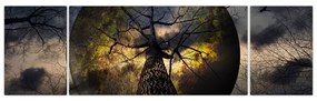 Obraz - Tajemnicze niebo (170x50 cm)