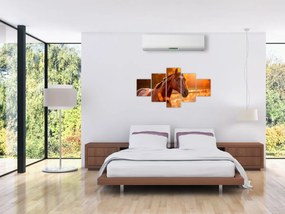 Obraz - Koń o zachodzie słońca (125x70 cm)