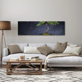 Obraz - Bonsai (170x50 cm)