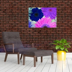 Obraz kolorowych kwiatów (70x50 cm)