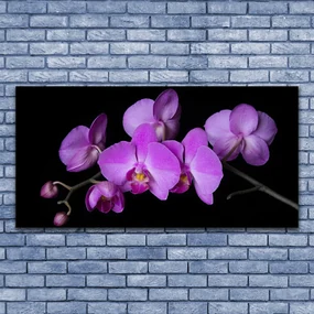 Obraz Szklany Storczyk Orchidea Kwiaty