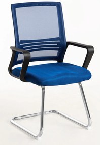 Pewny siebie Krzeso Kole