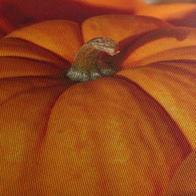 Obraz - Wspaniałe dynie (125x70 cm)