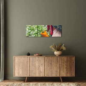 Obraz warzyw (z zegarem) (90x30 cm)