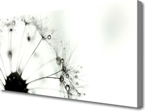 Obraz na płótnie Puszysta Kula Mniszka