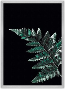 Plakat Dark Fern Leaf