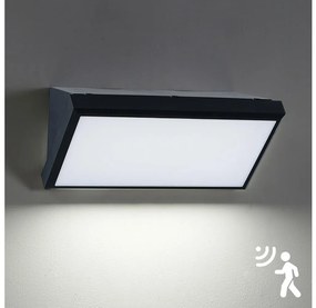 Brilagi - LED Kinkiet zewnętrzny z czujnikiem TRIANGLE LED/20W/230V IP65