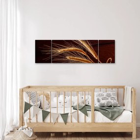 Obraz - Fragment kłosa żyta (170x50 cm)