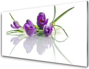 Panel Szklany Botaniczny Ogród Kwiatowy