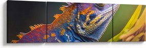 Obraz - Kolorowy legwan (170x50 cm)
