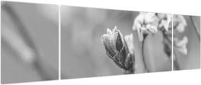 Obraz - Kwitnący kwiat (170x50 cm)