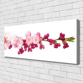 Zdjęcie na płótnie Delikatna Gałązka Kwitnącej Wiśni