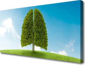 Duży obraz na płótnie Zielone Płuca Natury