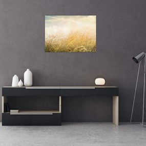 Obraz - Pole jesienią (70x50 cm)