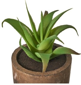 Sztuczne rośliny zestaw 4 szt. (wysokość 10 cm) Cactus – Casa Selección