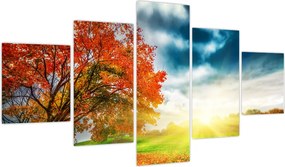 Obraz skąpanego w słońcu krajobrazu (125x70 cm)