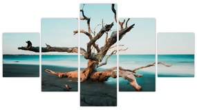 Obraz -  Wyłowiono na plaży (125x70 cm)