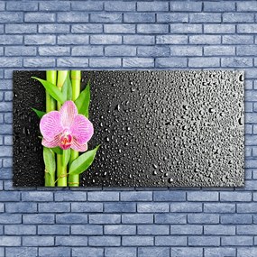 Obraz na płótnie Pędy Bambusa w Rozkwicie