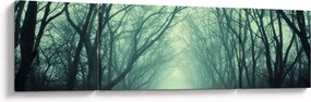 Obraz - Droga z aleją drzew (170x50 cm)