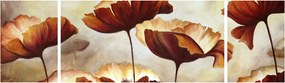 Obraz czerwonych kwiatów (170x50 cm)