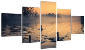 Obraz łabędzi na wodzie we mgle (125x70 cm)