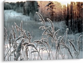 Obraz - Frozen Meadow (70x50 cm)