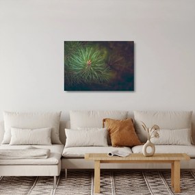 Obraz na szkle - Detal sosny (70x50 cm)