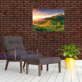 Obraz na szkle - Letni krajobraz (70x50 cm)