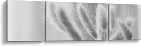 Obraz - Trawa z króliczym ogonkiem (170x50 cm)