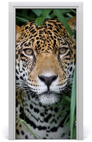 Fototapeta samoprzylepna na drzwi Jaguar w amazoni