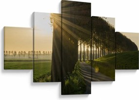 Obraz alei (125x70 cm)
