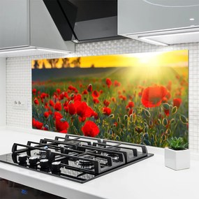 Panel Szklany Łąka Maki Roślina Natura